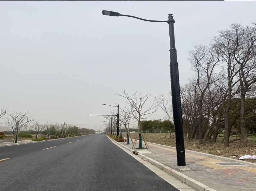 攀枝花市上海综合杆 太阳能路灯工程